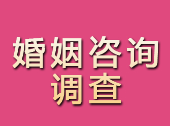 延川婚姻咨询调查